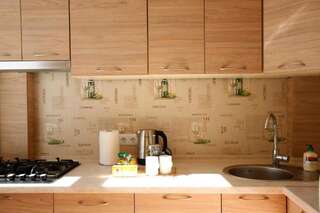 Апартаменты Baisena Apartment Киев Апартаменты-21